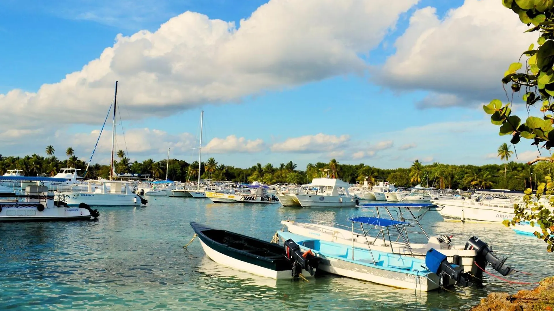 Altea Tropical Inn, Bayahibe