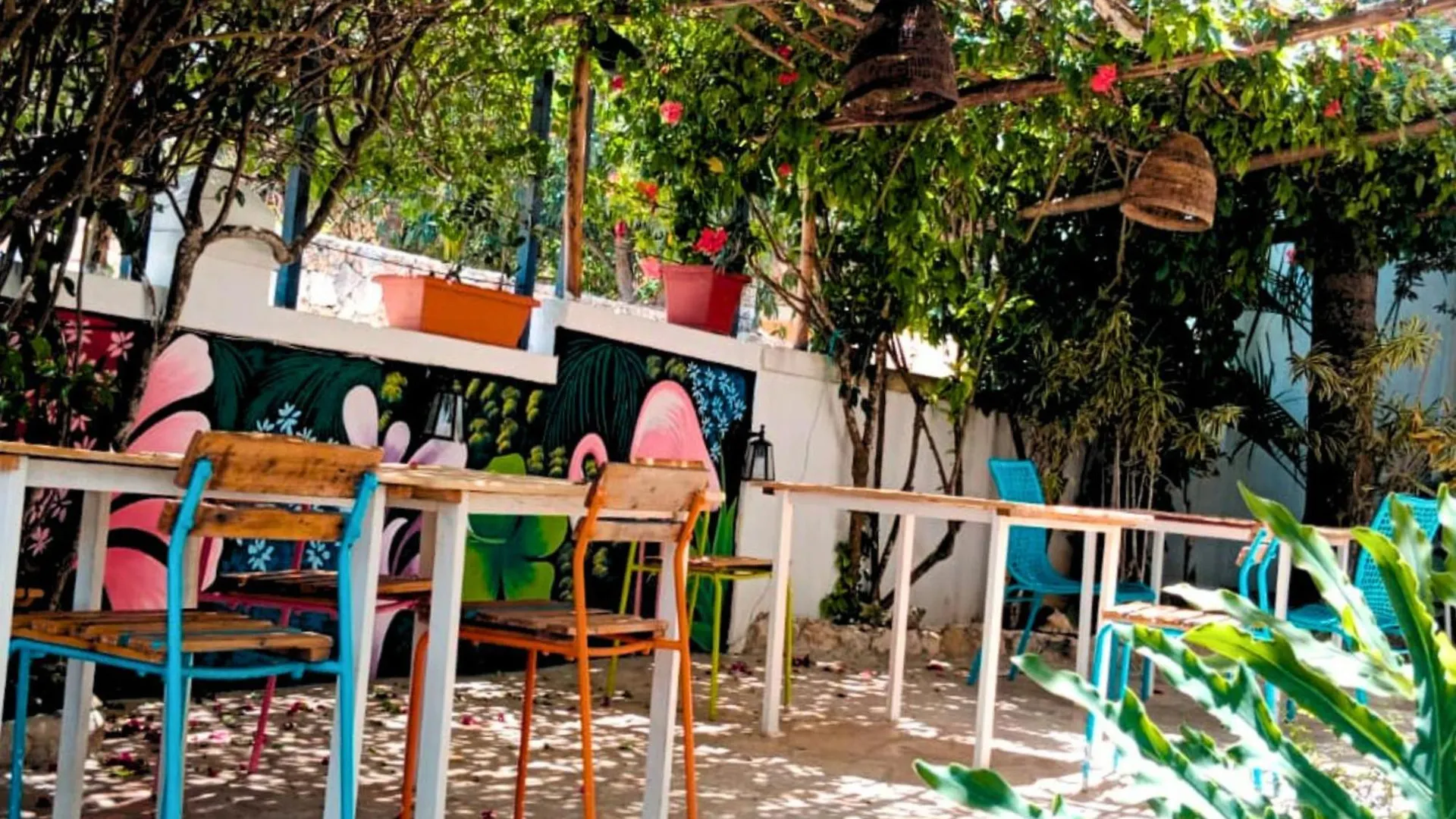 Altea Tropical Inn, Bayahibe 0*,