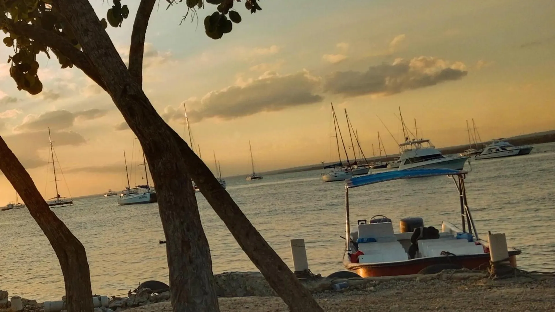 Altea Tropical Inn, Bayahibe Apartment